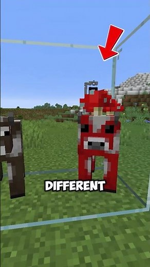 I Found The Best Way To Kill Wither Skeletons