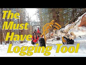 Logging Arch In Action