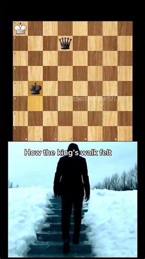 King + Queen Checkmate💢 #chess #checkmate #endgame