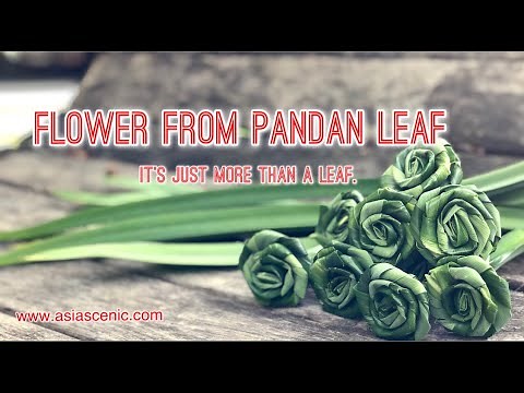 Flower from Pandan Leaf | Pandanus Leaves Flowers | Asia Scenic Thai Cooking School
