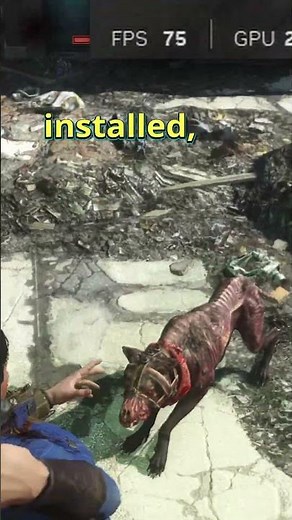 Fallout 4 finally has Frame Generation