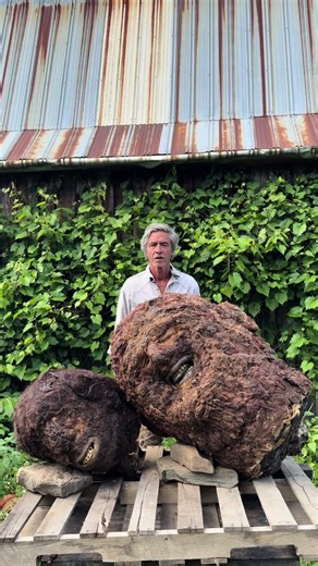 Bigfoot Specimens Count: How Many Bigfoot Remains Exist?