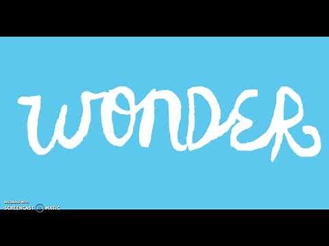 Wonder, pages 127-132