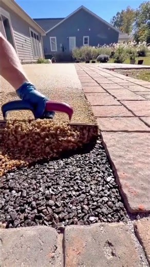 Industrial Wood Log Debarker Working at Full Speed