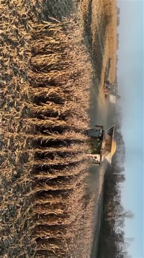 German Agriculture Team in Action