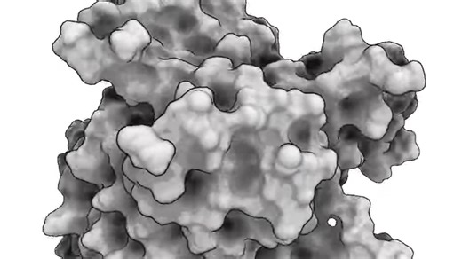 你以为蛋白质是“静止的”？