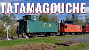 Tatamagouche is a cute village on the Northumberland Strait that has SO many great food and drink options! Driving through Nova Scotia I stopped in for lunch at the Chowder House, then popped over to Appleton Chocolates Company to get some treats for the road. Grabbed Meeting Waters Coffee - Tatamagouche at the The Tipperary Bakery & Cafe then pickled up Tatamagouche Brewing Co. beer for the road and had time to stop at Tatamagouche Ice Creamery for an cranberry orange cone. Although we stopped