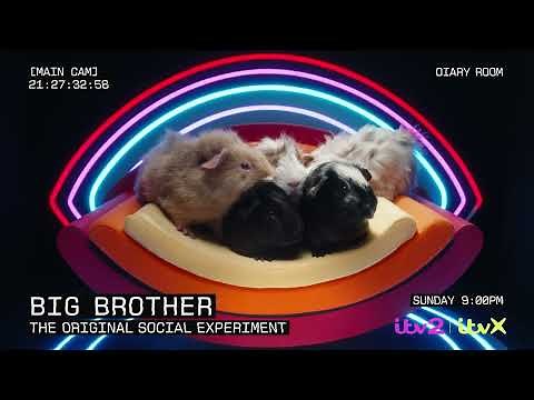Brand New Big Brother UK returns to ITV2 | Sunday 6th October