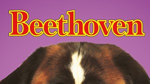Beethoven - Apple TV