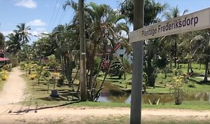 Meer dan toerisme: bezoek aan Plantage Frederiksdorp