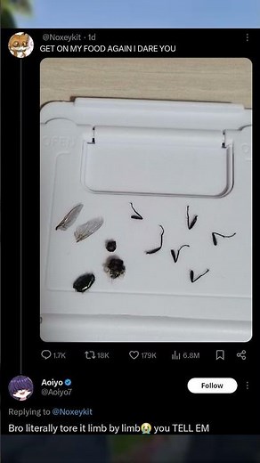 Best of Twitter Memes! 🤣🤣🤣 #twittermemes #voiceactor #funny #memes