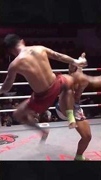WHAT IS THE ART OF 9 LIMBS? LETHWEI