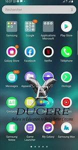 #EX_DUCERE: Petit tutoriel d'usage pour accéder aux cours en ligne sur la plateforme https://minesec-distancelearning.cm/. "pour les nuls". | EX Ducere