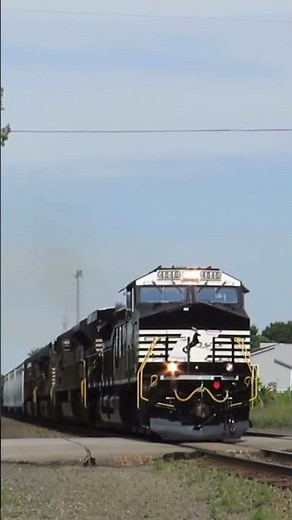 4 Lead NS manifest with clean AC44 leader