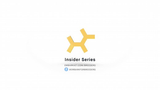 In this episode of the Embark Insider's video series, Embark Principal Scientist Aaron Sams, PhD, discusses how to best apply Embark's Genetic COI results to real breeding decisions. Plus, learn the difference between genetic COI vs pedigree-based COI. | Embark for Breeders