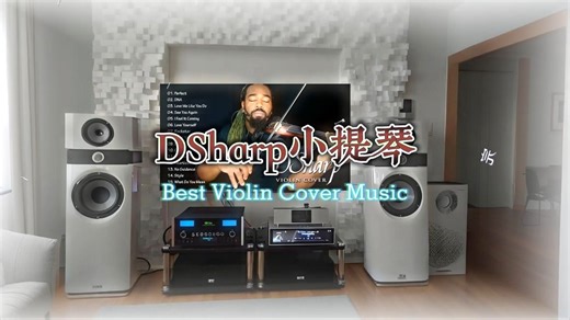 【Hi-Res】DSharp小提琴演奏热门经典精选15首~立体环绕纯音乐