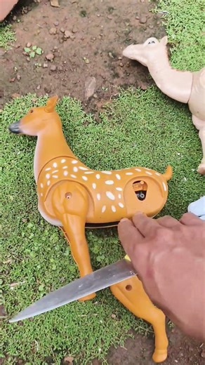 wadidaw sapi kurban #fypシ