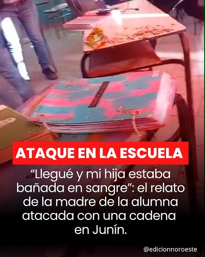 1.7M views · 8.7K reactions | Una mujer irrumpió en el aula de la Escuela Secundaria 16 y golpeó a una adolescente de 14 años, que terminó hospitalizada. La justicia intervino con una medida cautelar. | Edición Noroeste | Facebook