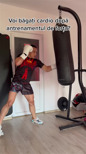 Intense Boxing Workout at Home for Fitness Enthusiasts