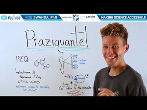 How does Praziquantel Treat Parasites?