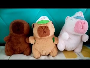 A morning with the capybaras💖