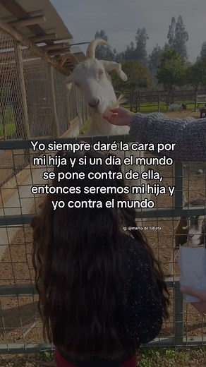 1.6K views · 11K reactions | Mamá de Tabata on Reels | Facebook