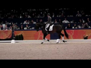 Ampere 2010 Stallion Show Part 1 of 2
