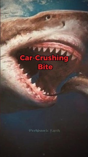 Megalodon Facts That Sound Completely Fake But Are 100% Real 🦈