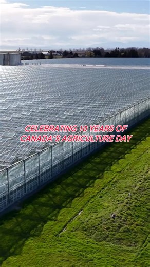 Today, we’re celebrating 10 years of Canada’s Agriculture Day and the dedicated workers who bring fresh, nutritious produce to our tables every day! 🇨🇦🧑‍🌾⁠ ⁠ At Windset Farms®, we’re proud to be part of Canada’s agricultural community. By growing fresh, greenhouse grown produce year round, investing in innovative technology, and supporting sustainable practices, we contribute to a more resilient local food system, in an effort to make fresh, healthy food accessible - no matter the season.⁠ ⁠