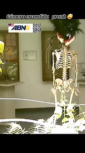 693K views · 5.6K reactions | #funnyvideos #funny #funnymoments...