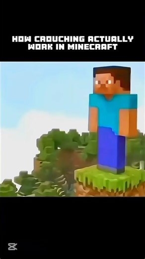 How Crouching ACTUALLY Works In Minecraft || #minecraft #minecraftgamer #gaming