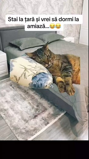 158K views · 1.2K reactions | Radio 1 Manele on Reels | Facebook