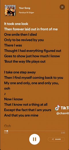 Your Song - Parokya ni Edgar Lyrics and Meaning