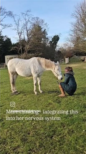 Watch how Chelsea moves through positional release on Balance pads 🤍
