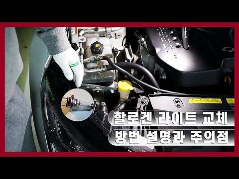 [Review] SM6 Vehicle Halogen Light Replacement Precautions, Light Price, and Detailed Replacement...