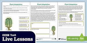 BBC Teach: Green Planet Live Lesson Activity Sheet [Ages 9-11]