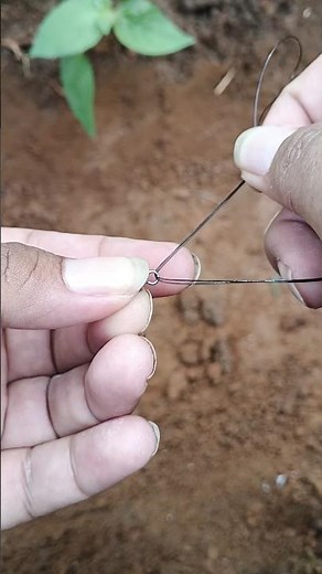 “Pro Anglers Use This Swivel Knot—Here’s How!” #diy #shorts