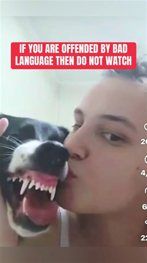 Stop Using Dogs for Entertainment - Advocate for Their Comfort