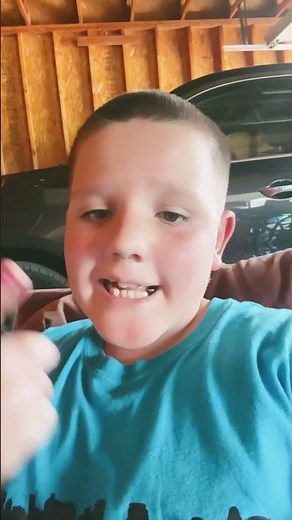 Seagulls stop 🛑 it now