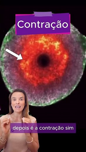 Have you ever imagined seeing ovulation happening live inside the ovary?