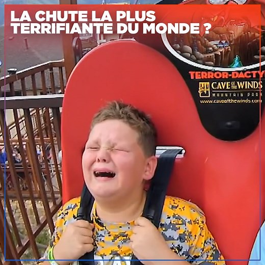 13M views · 44K reactions | Vous oseriez le faire ? | JV | Facebook