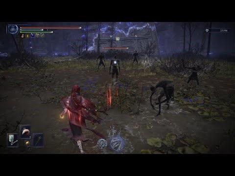 Artorias Boss Fight - Elden Ring Nightreign [PS5]