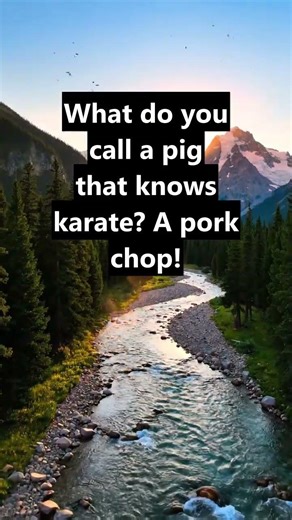 What do you call a pig that knows karate? A pork chop! #quotes #helpmemakethismakesense #motivation