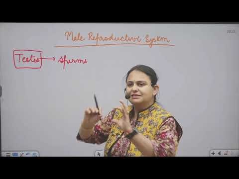 Class 10 Biology: Human Reproductive System FULL CONCEPT | Diagrams, STD, & Birth Control Explained