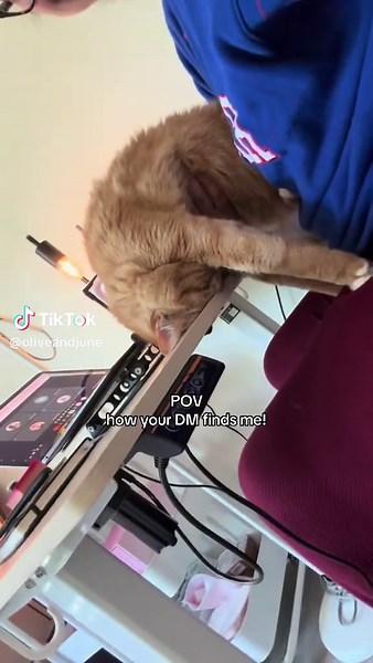 Olive & June (@oliveandjune) - DIY Nails with Cats: A Fun Week Start