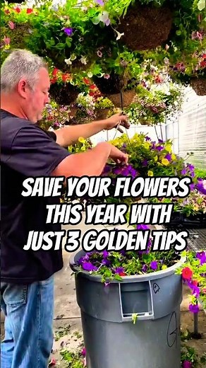 Your Flowers Won't Survive Extreme Heat This Summer Unless You Do These 3 Things Right Now!!