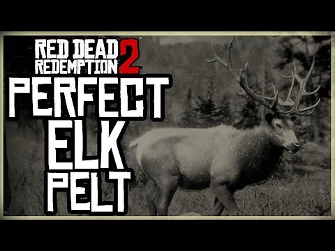 HOW TO GET A PERFECT ELK PELT - RED DEAD REDEMPTION 2 PRISTINE ELK HUNT 3 STARS