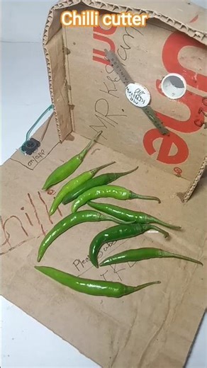 Chilli Cutter Machine DIY Project #homemade #shorts