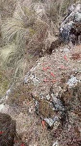 Maria Taipe Barrientos on Reels