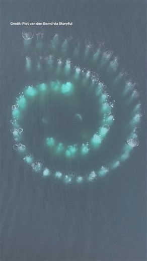 So mesmerising 😍 #Whales #Antarctica #DroneFootage | IFLScience